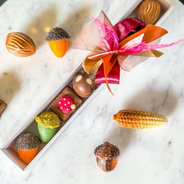 Luxe koker herfst chocolade