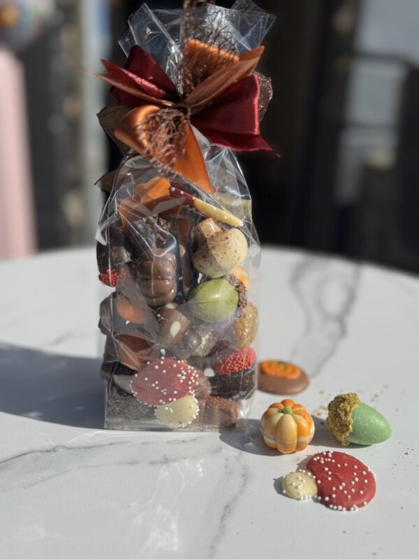 Zakje herfst chocolade groot