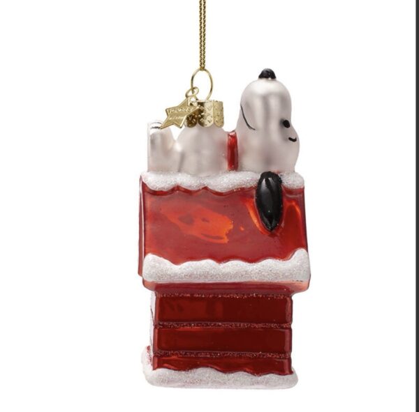 Vondels snoopy house
